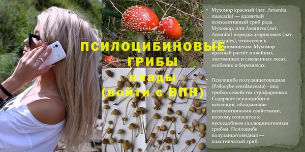 крисы Армянск