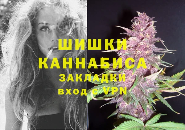 спиды Пестово