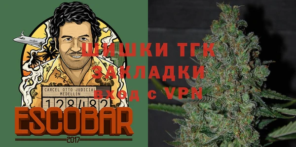 крисы Армянск
