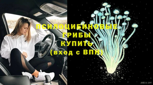 спиды Пестово
