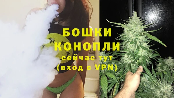 jwh Пересвет