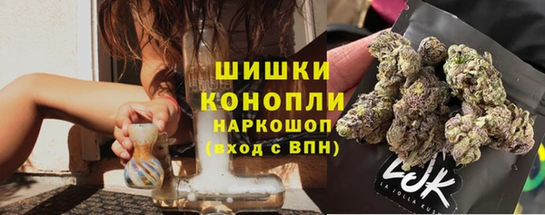 spice Аркадак
