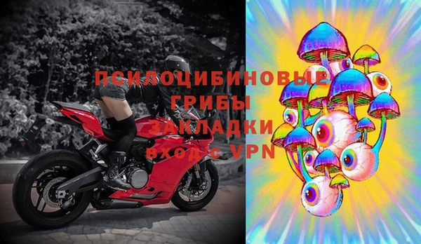 крисы Армянск