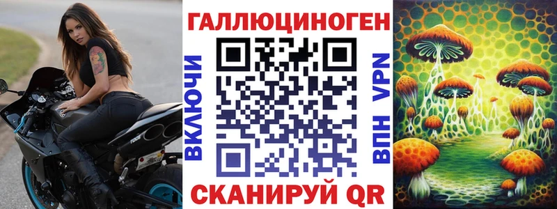 Псилоцибиновые грибы мицелий  Холмск 